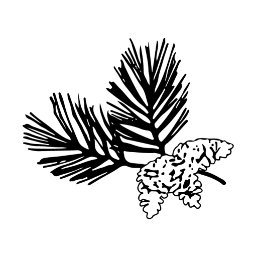 Marquette Community Foundation logo